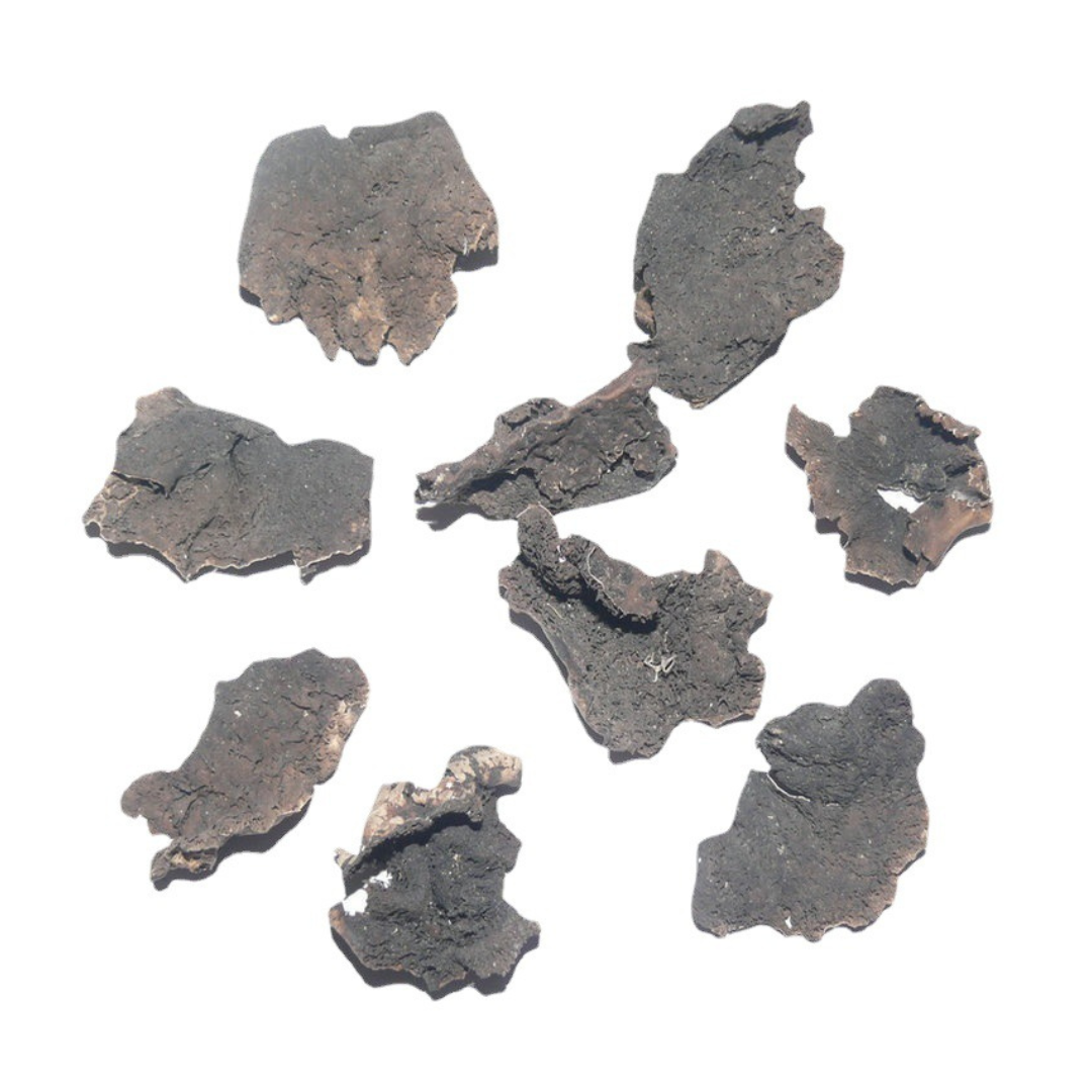 Auricularia Auricula Powder