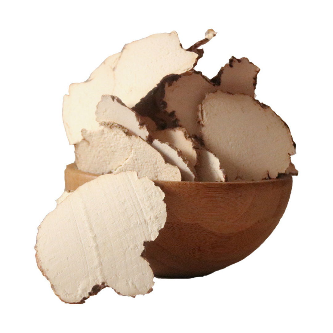Tiger Milk Mushroom Powder